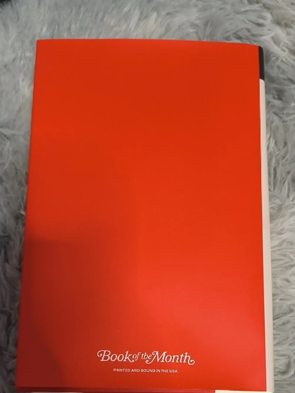 BOTM - Picture 4 of 6